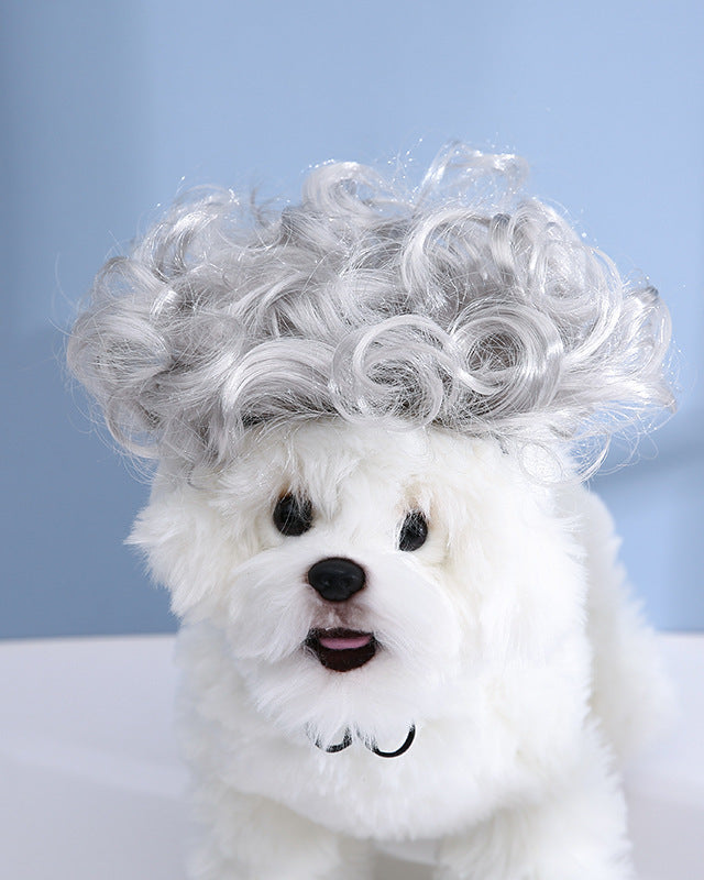 Weißer Hund mit grauer lockiger Haustier Perrücke in Hip-Hop-Stil auf blauem Hintergrund