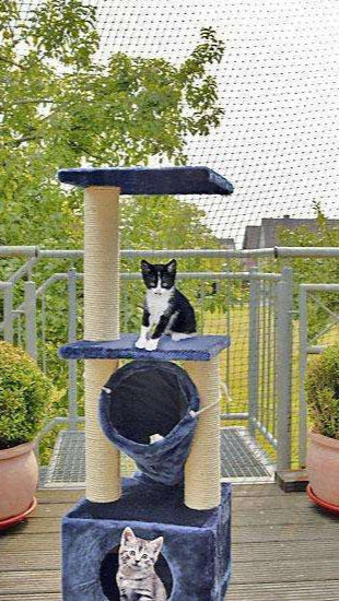 Karlie Katzenschutznetz