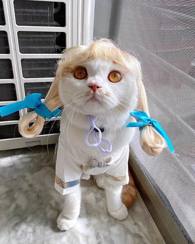 Katze mit blonder Haustier Perrücke und blauen Schleifen im Hip-Hop-Stil