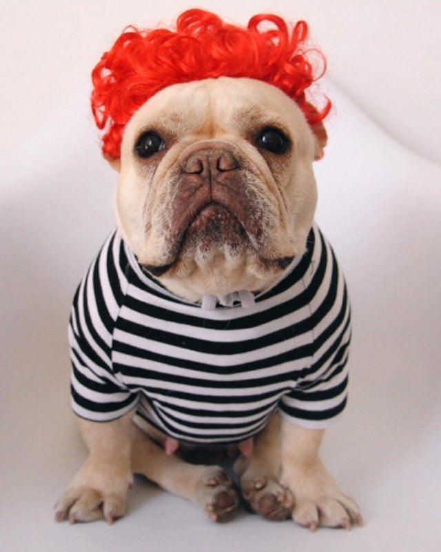 Kreative Haustier Perrücke Einfache Lustige Perücke Kopfbedeckung