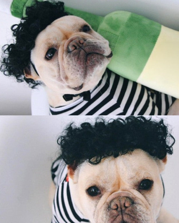 Kreative Haustier Perrücke Einfache Lustige Perücke Kopfbedeckung