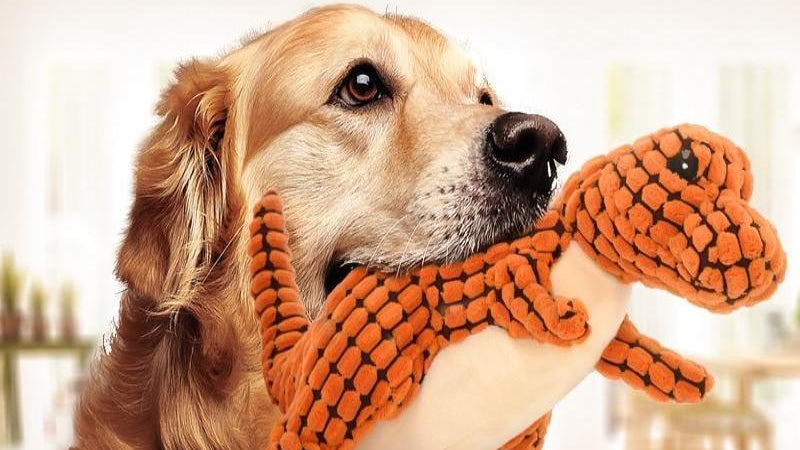 Dinosaurier Hundespielzeug Riesenhunde Haustiere Interaktives Hundespielzeug für große Hunde Kauspielzeug Chihuahua Plüsch Plüsch Quietscher