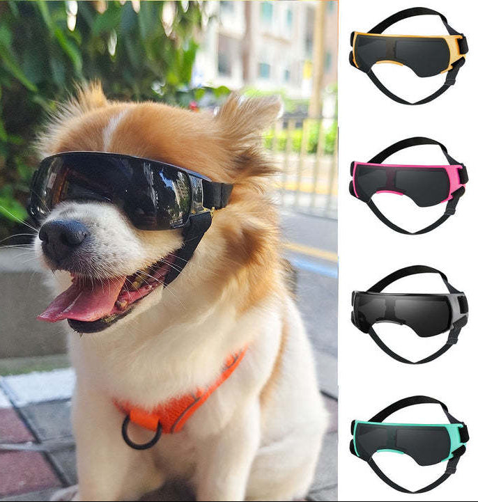 Hunde Sonnenbrille mit UV Schutz