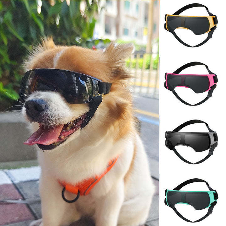 Hunde Sonnenbrille mit UV Schutz