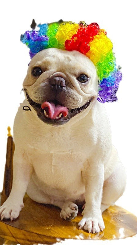 Hund trägt bunte Clown-Haustier Perrücke aus Nylonfaser im Hip-Hop-Stil