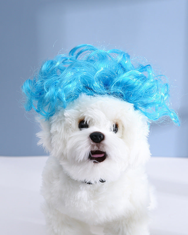 kleiner weißer hund mit blauer lockiger haustier perrücke auf hellgrauem hintergrund
