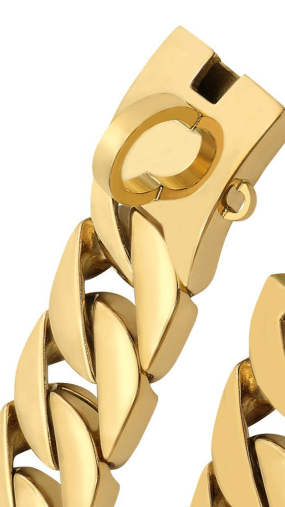 goldenes Edelstahl Hundehalsband für große Hunde mit robustem Verschluss