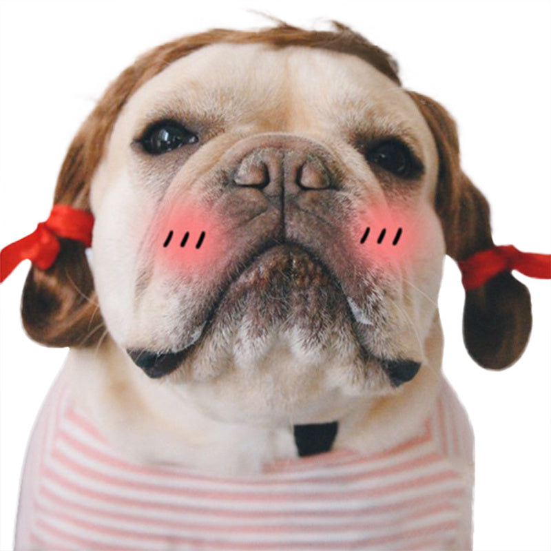 Kreative Haustier Perrücke Einfache Lustige Perücke Kopfbedeckung