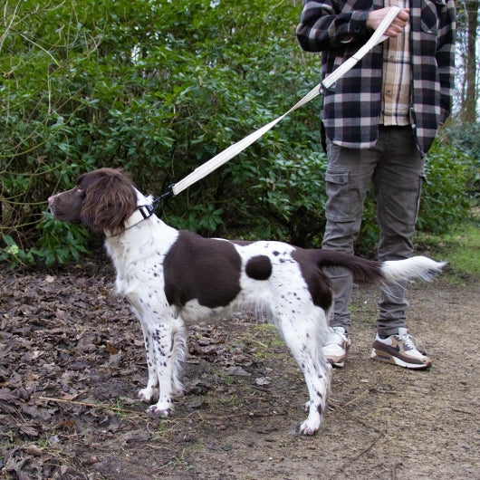 Duvoplus EXPLOR Ultimate Fit Control Halsband Fashion - antique white