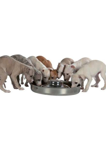 Trixie Edelstahl-Welpennapf