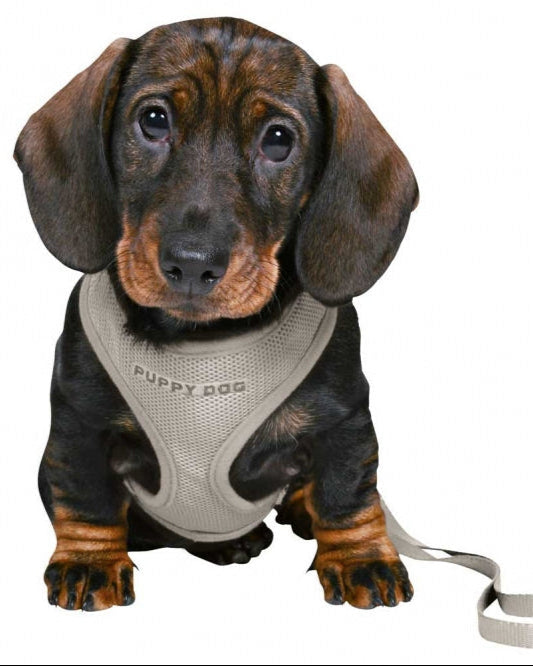 Trixie Junior Welpen-Softgeschirr mit Leine