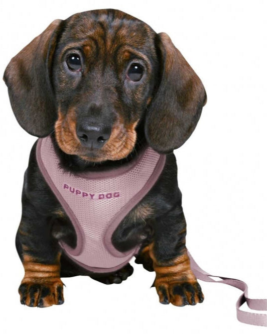 Trixie Junior Welpen-Softgeschirr mit Leine