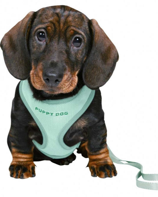 Trixie Junior Welpen-Softgeschirr mit Leine