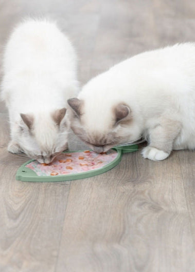 Trixie Lick'n'Snack Matte Fisch für Katzen