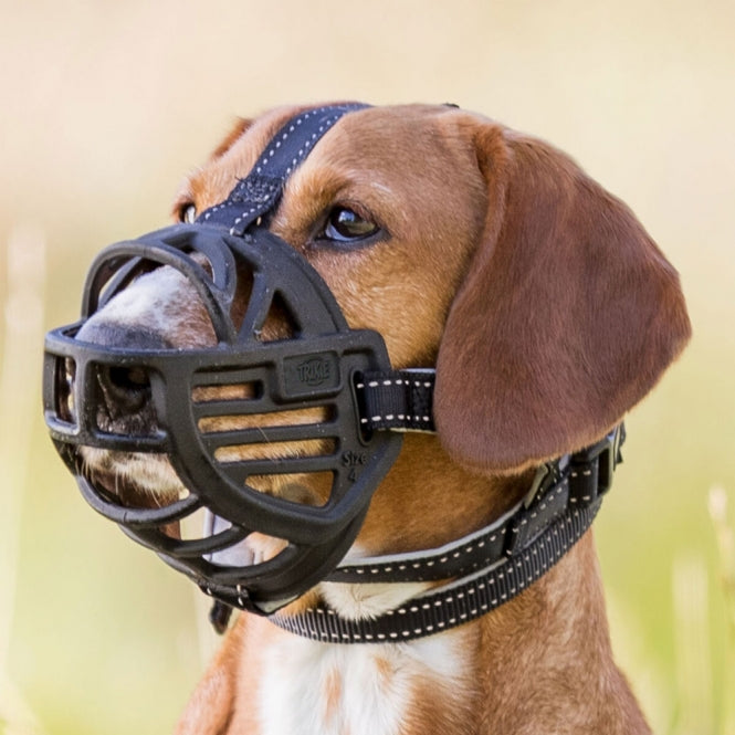 Trixie Maulkorb Muzzle Flex black rubber muzzle on a brown dog with adjustable straps for comfortable, secure fit