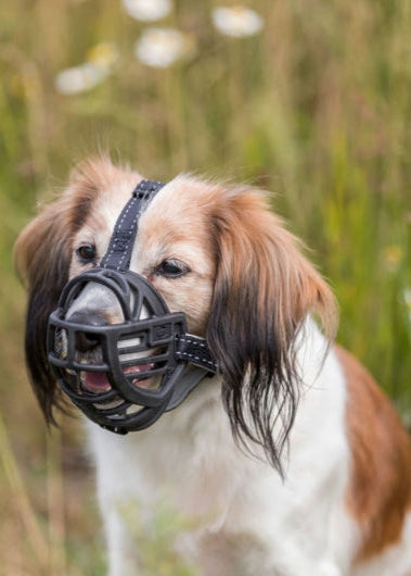 Trixie Maulkorb Muzzle aus flexiblem schwarzem Gummi für Hunde mit verstellbaren Nylon- und Neoprenriemen, ergonomische Passform, ausbruchsicher und tierschutzkonform.