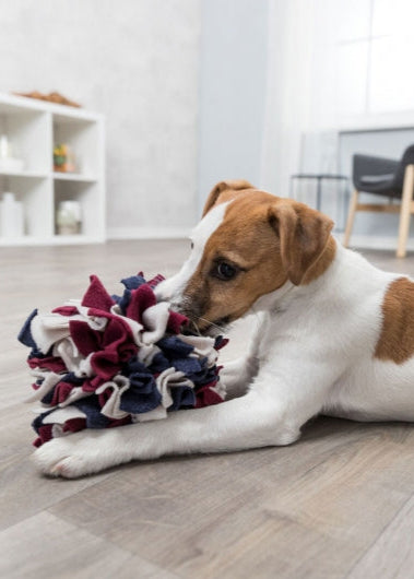 Trixie Schnüffelball für Hunde