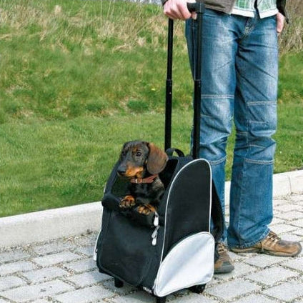 Trixie Trolley für Hunde in Schwarz/Grau mit gepolstertem Boden und Belüftungseinsätzen, ideal für Reisen bis 8 kg.
