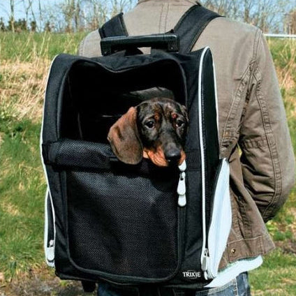 Trixie Trolley für Hunde und Katzen als Rucksack mit Belüftung und gepolstertem Boden, schwarz-grau, geeignet für Tiere bis 8 kg.