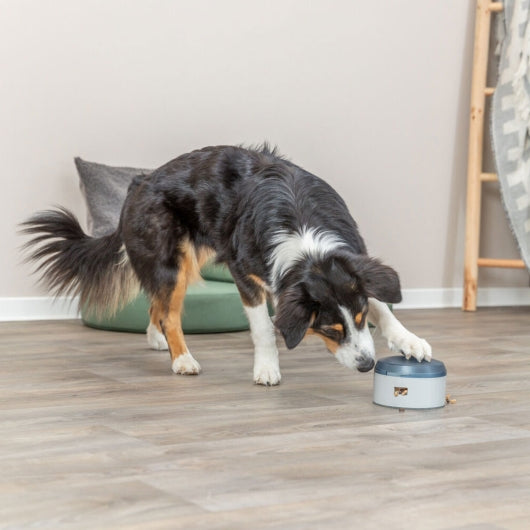 Trixie Dog Activity Buzzer