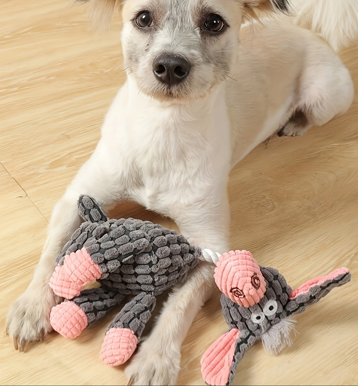 Quietschendes Hundespielzeug-Set für Welpen, süßes, weiches, langlebiges Plüsch-Kauspielzeug für Hunde mit Quietschern zur Zahnreinigung, für kleine und mittelgroße Hunde