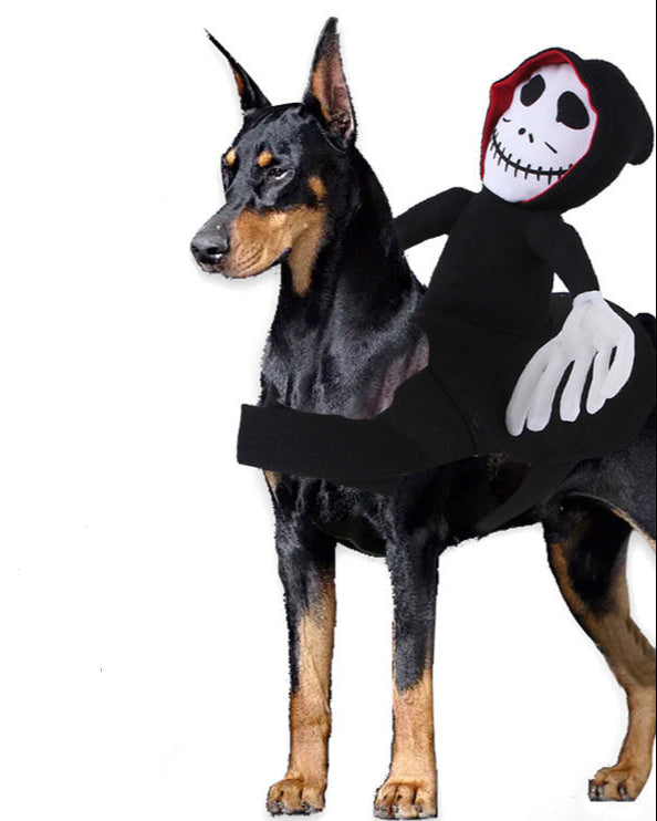 Dog wearing Halloween pet costume with spooky skeleton design and "Happy Halloween" text background