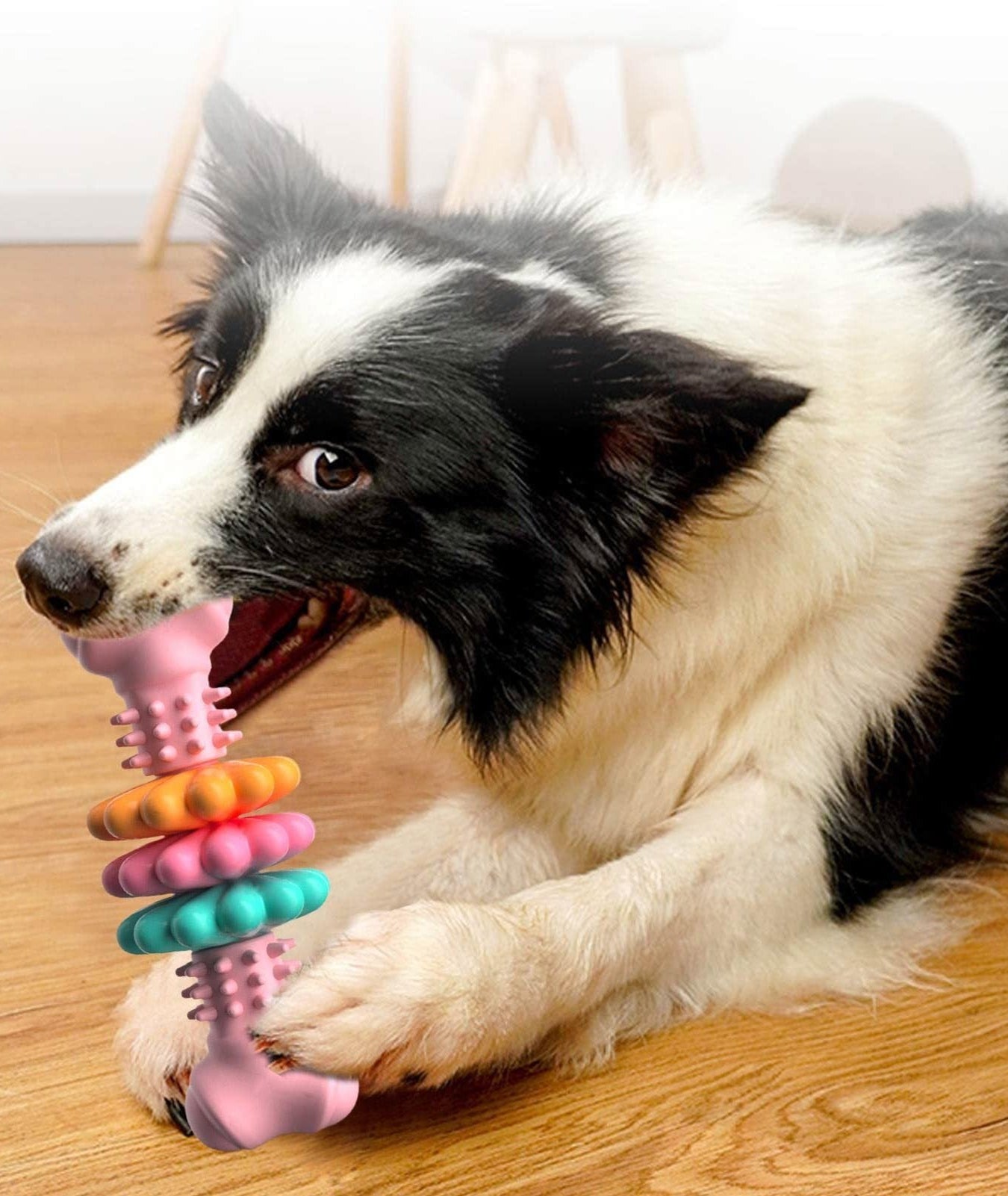 Kauspielzeug für Hunde, Hundeknochen-Typ, Hunde-Zahnreinigungsspielzeug, unzerstörbares TPR-Knochenkauen, bissfestes Zahnungsspielzeug, Haustierprodukte