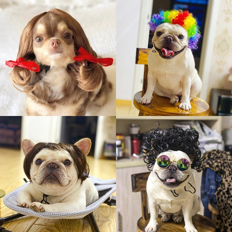 Haustier Perrücke in verschiedenen bunten Stilen auf Hunden für Partys und Festlichkeiten